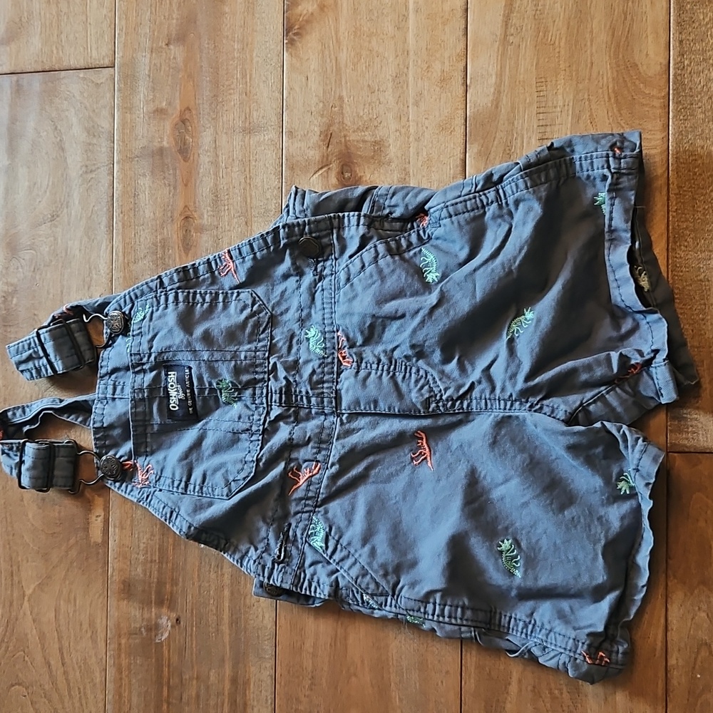 OshKosh B'gosh Charcoal Overalls with Colorful Dinosaurs